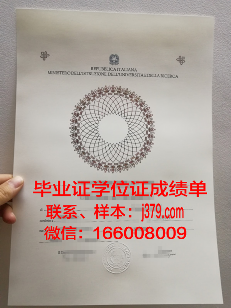 洛林大学南锡高等工程科学与技术学院的毕业证啥样(洛林大学工程师学院怎么样)