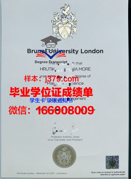 布尔诺理工大学博士毕业证(布鲁内尔大学博士学费)