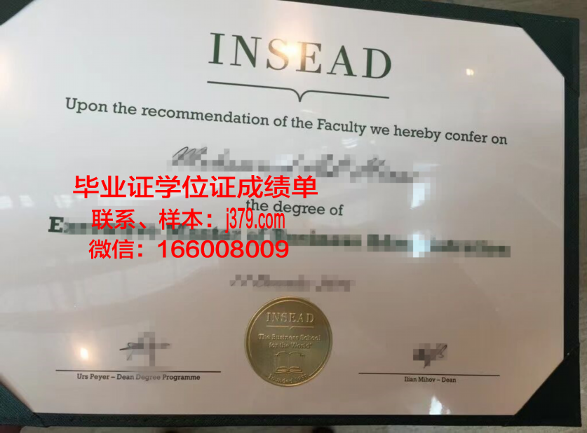 洛林大学欧洲材料工程工程师学院毕业证原版(欧洲材料研究学会)