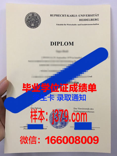 海德堡大学硕士毕业证书样本(海德堡大学硕士几年)