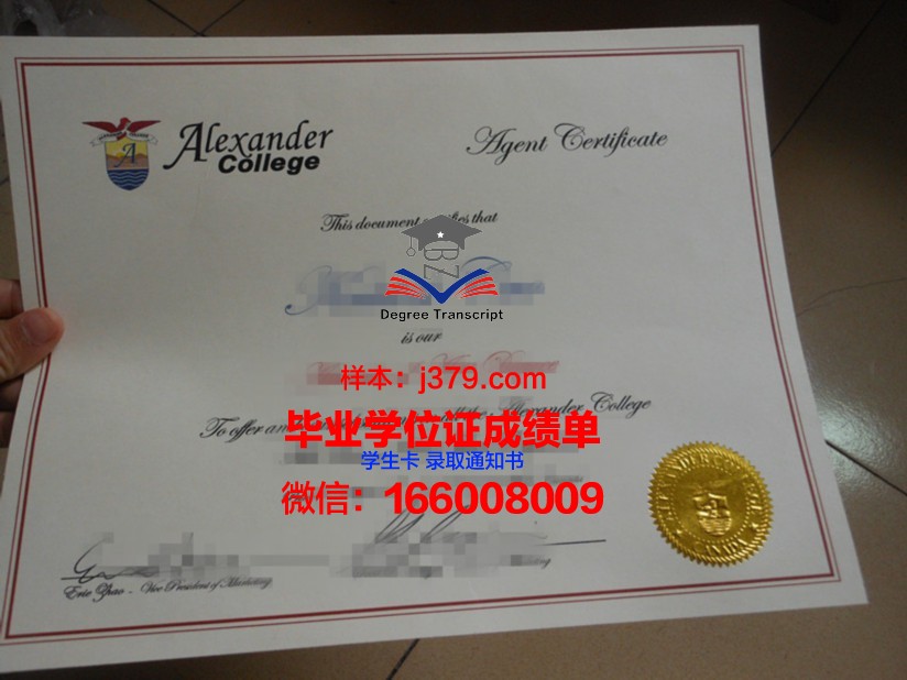 山大毕业证书图片大全(山大毕业证书图片大全集)