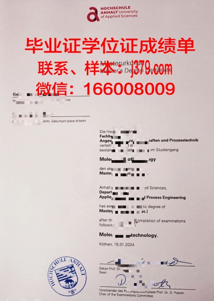 海德堡应用技术大学毕业证电子版(海德堡应用技术大学怎么样)