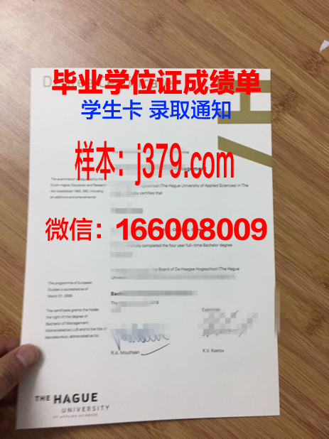 海牙大学毕业文凭