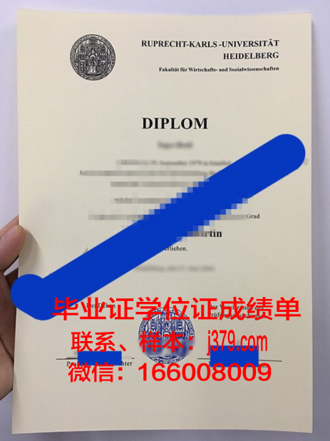 海德堡大学毕业证书：一份承载荣誉与梦想的证明