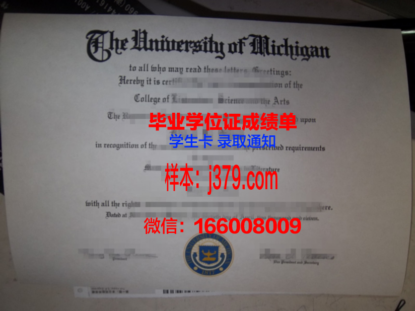 浜松大学毕业证电子版