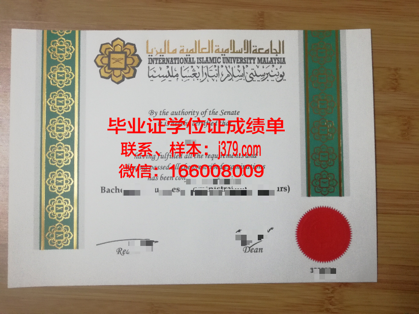 国立伊斯兰大学毕业证好找工作吗
