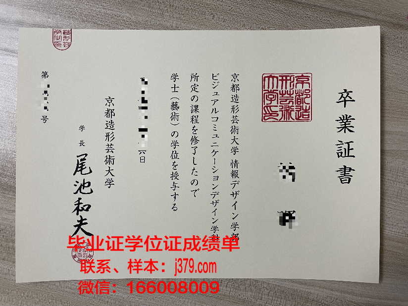国立造型艺术与建筑学院硕士毕业证：青春的荣耀与新征程的起点
