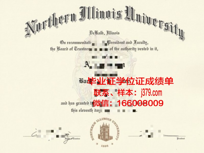 国立伊斯兰大学毕业证书图片模板(伊利诺伊大学毕业证)
