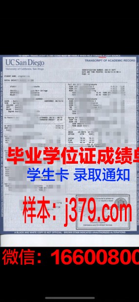 国立伊斯兰学位证成绩单：一份跨越信仰与知识的成绩单