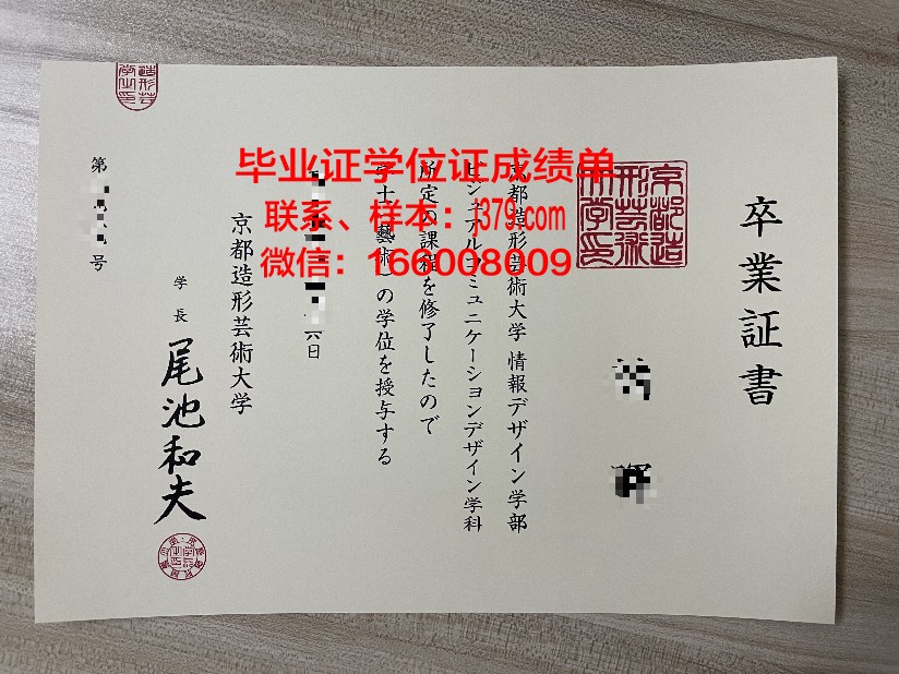 国立造型艺术与建筑学院硕士毕业证：青春的荣耀与新征程的起点