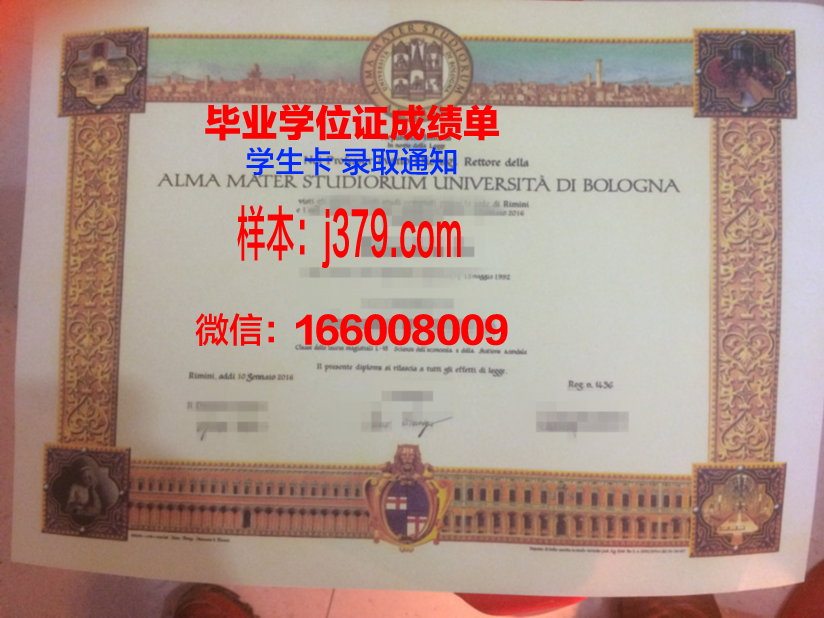 尼亚硕士毕业证怎么拿：攻略与指南