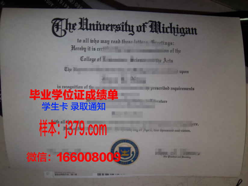 尼斯大学毕业证外壳(明尼苏达大学毕业证书)
