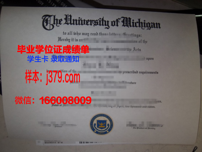 毕业证假的编号是本人的(毕业证有编号造假)