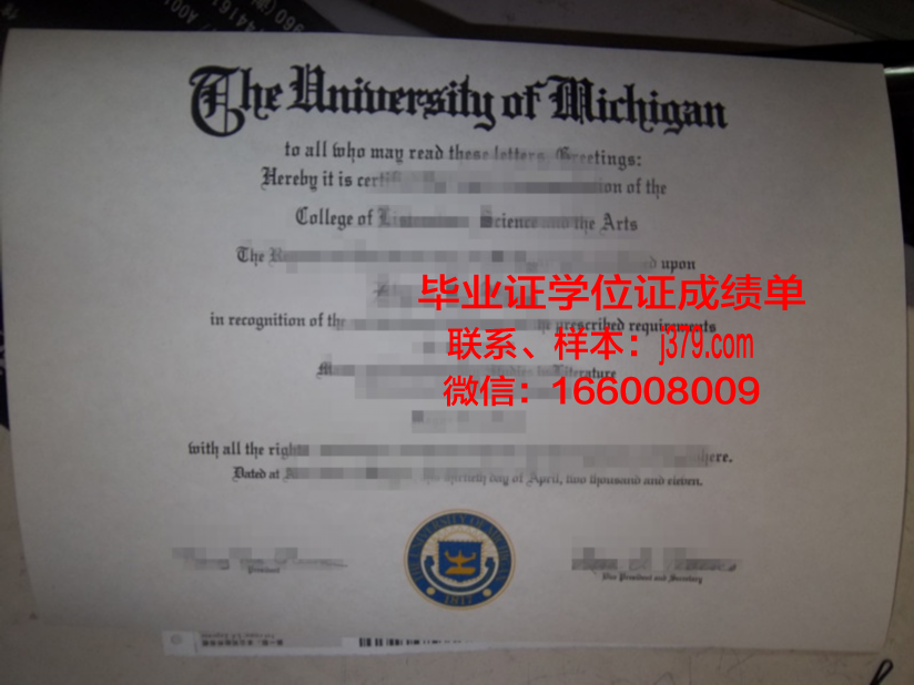 海外电子版的毕业证哪里查(国外大学毕业证电子版)