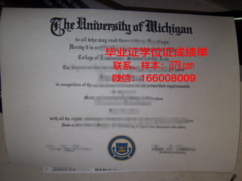 毕业证字体格式(毕业证字体用什么字号)