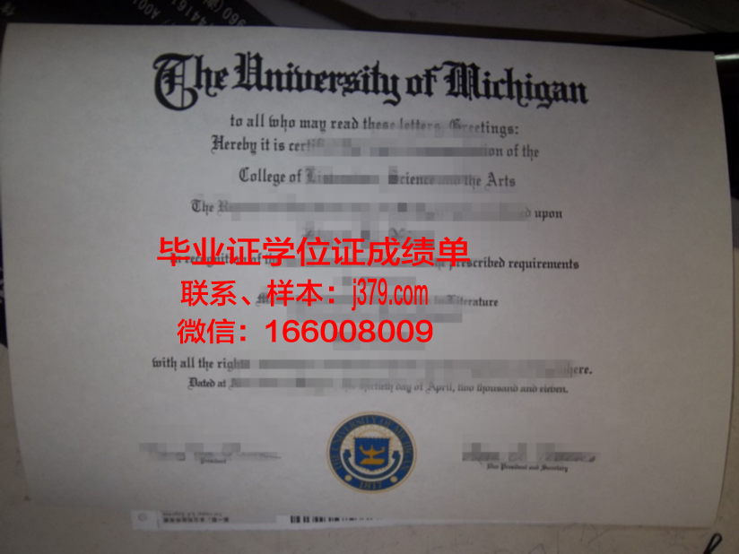 毕业证A：一张纸的重量与价值