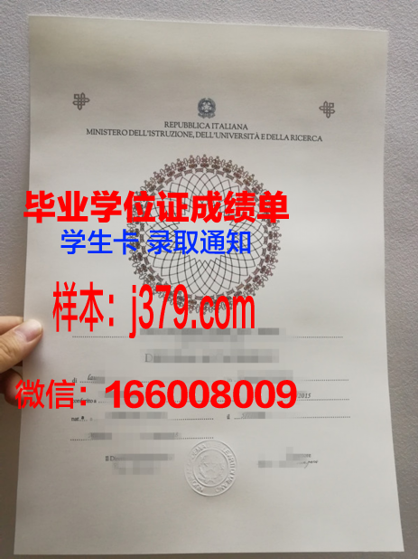 洛林大学南锡高等工程科学与技术学院硕士毕业证书样本