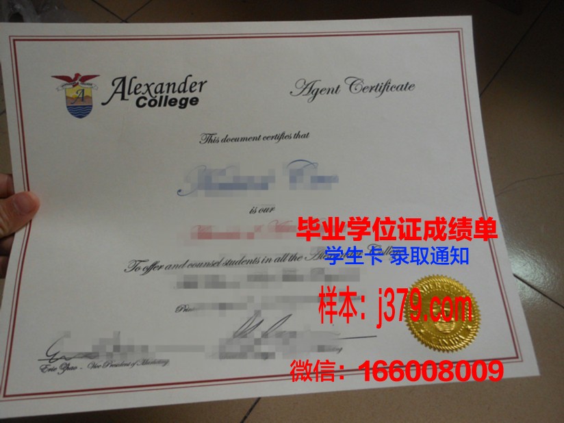 山大毕业证：承载荣誉与梦想的通行证