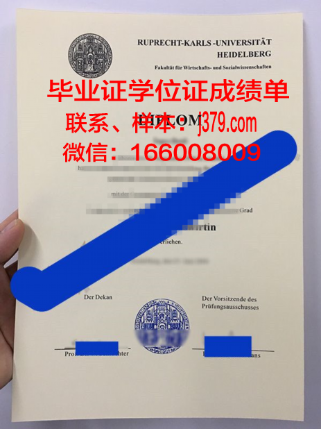 海德堡大学毕业证电子版(海德堡大学视频)