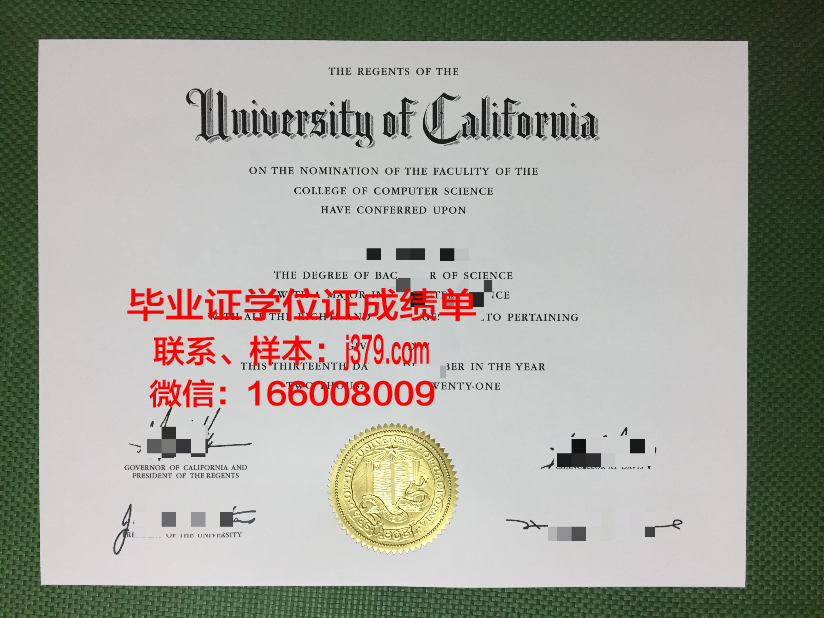 国家计算机与新兴科学大学毕业证真伪
