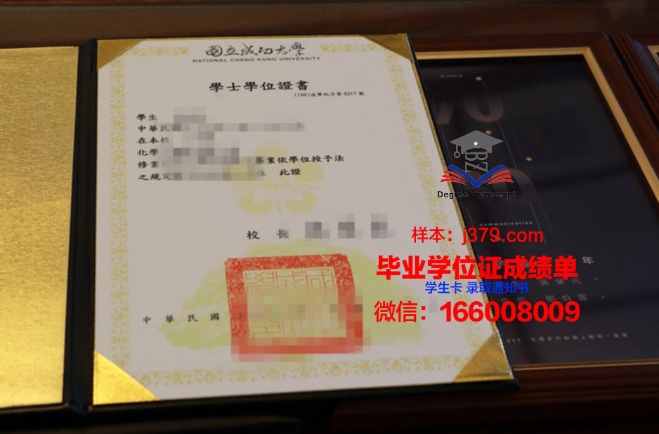 国立成功大学硕士毕业证：一张纸的重量与价值