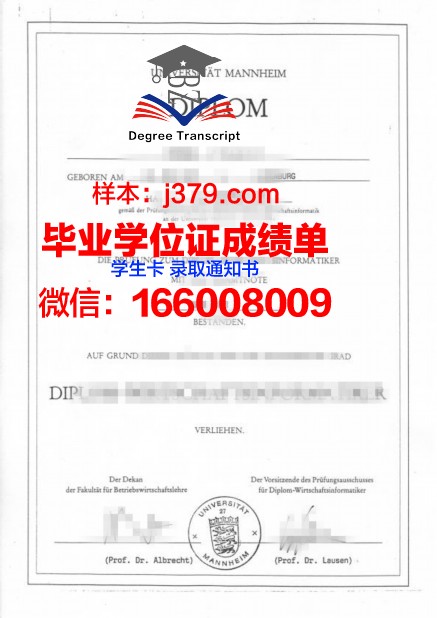 国立曼海姆音乐与表演艺术学院学位证(曼海姆商学院学费)