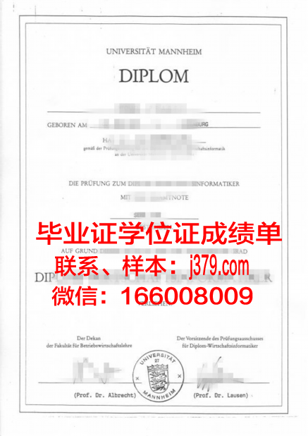 国立曼海姆音乐与表演艺术学院毕业证等级(曼海姆商学院学费)