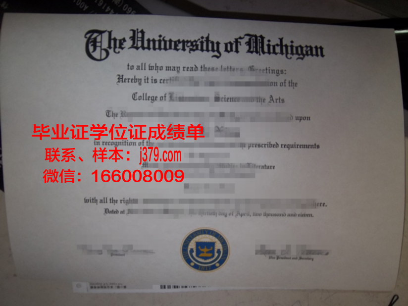 毕业证上的成绩单：记录青春的足迹
