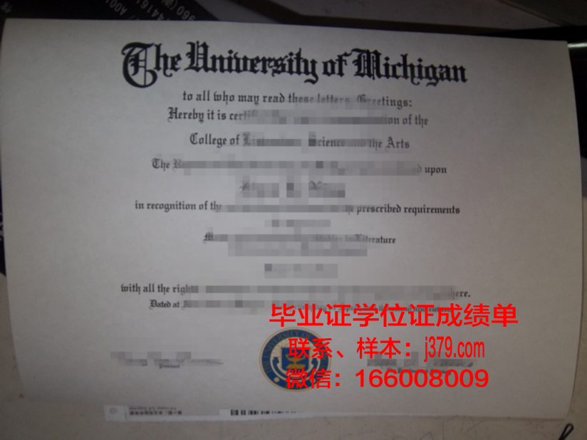洛美大学毕业证(美国毕业证丢了)