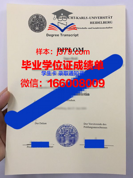 海德堡大学毕业证高清图(海德堡大学吧)