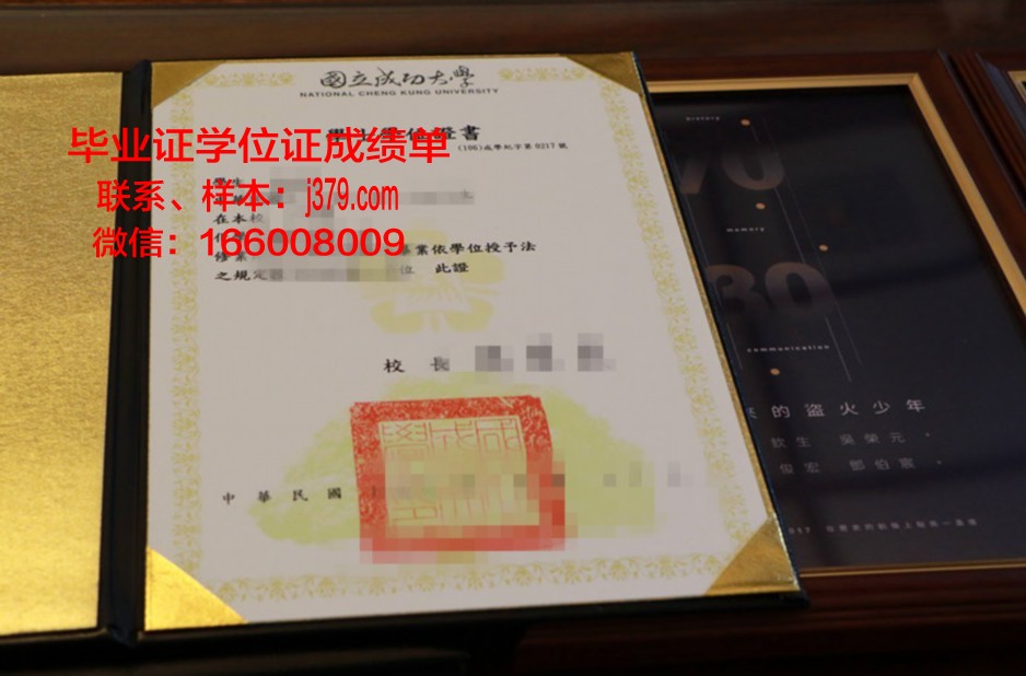 国立成功大学硕士毕业证：一张纸的重量与价值