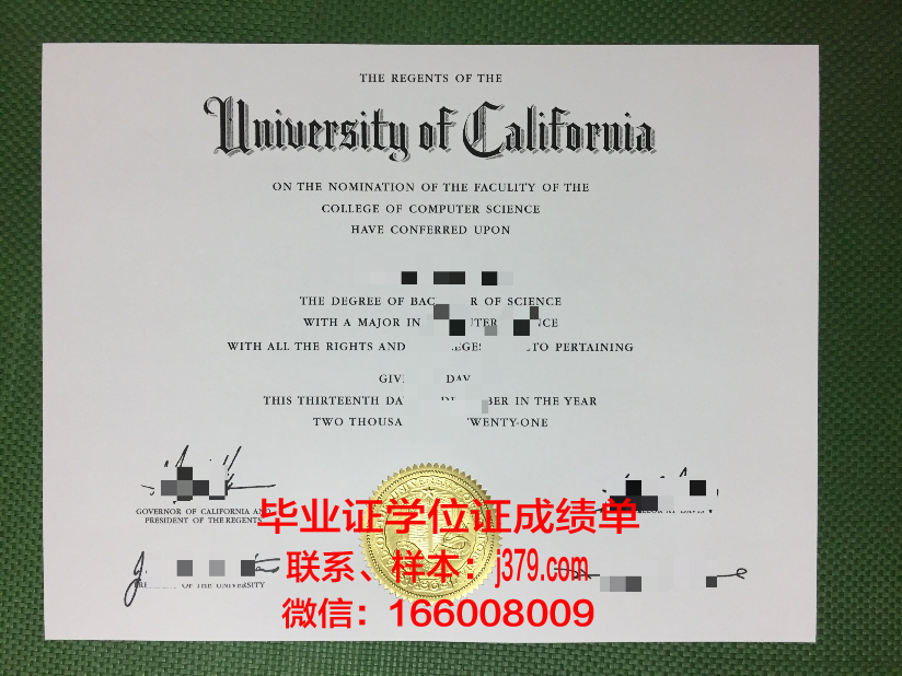 毕业证丢了编码也不记得了怎么办