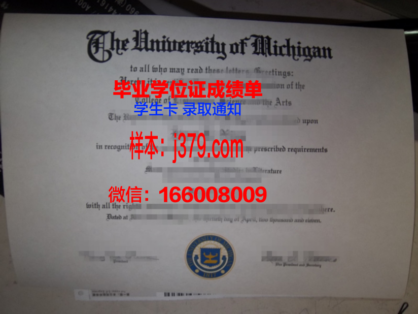 毕大毕业证定制：传承与创新的双重奏