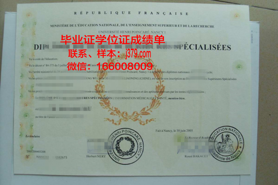 洛林大学南锡国立高等矿业学院毕业证成绩单