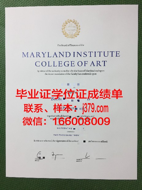 比利牛斯山波城-塔尔博高等艺术学院毕业证定制：荣誉与梦想的见证
