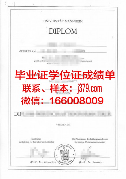国立曼海姆音乐与表演艺术学院几年可以毕业证(曼海姆音乐学院暑期夏令营)