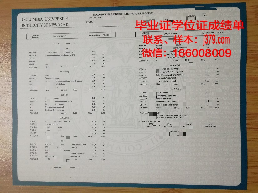 国立技大成绩单：一份见证成长与荣耀的证书