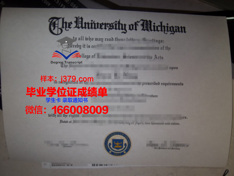 毕业证丢了怎么办？急用时的补办指南