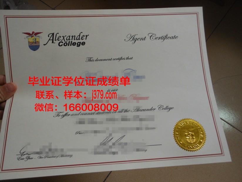山大毕业证定制，价格几何？