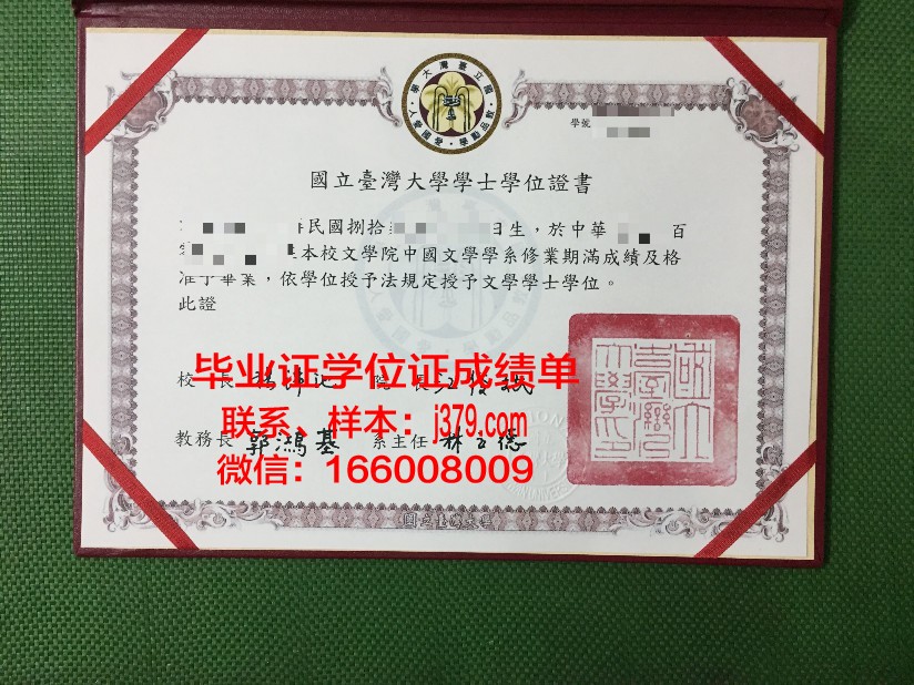 国立文化与艺术政府管理人员学院拿不了毕业证(国立艺术专门学校)