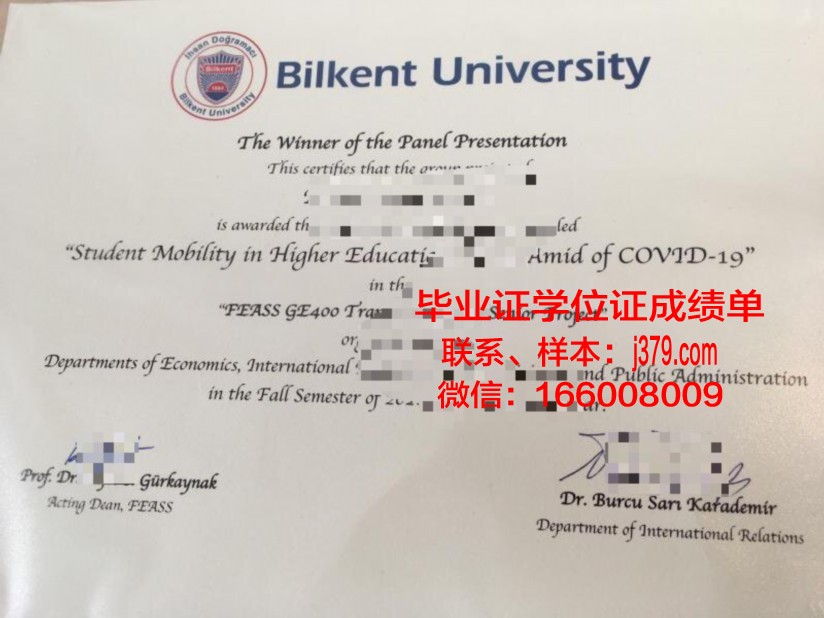 毕尔毕业证：一张纸背后的价值与意义