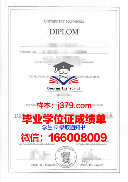 国立曼海姆音乐与表演艺术学院学位证(曼海姆商学院学费)