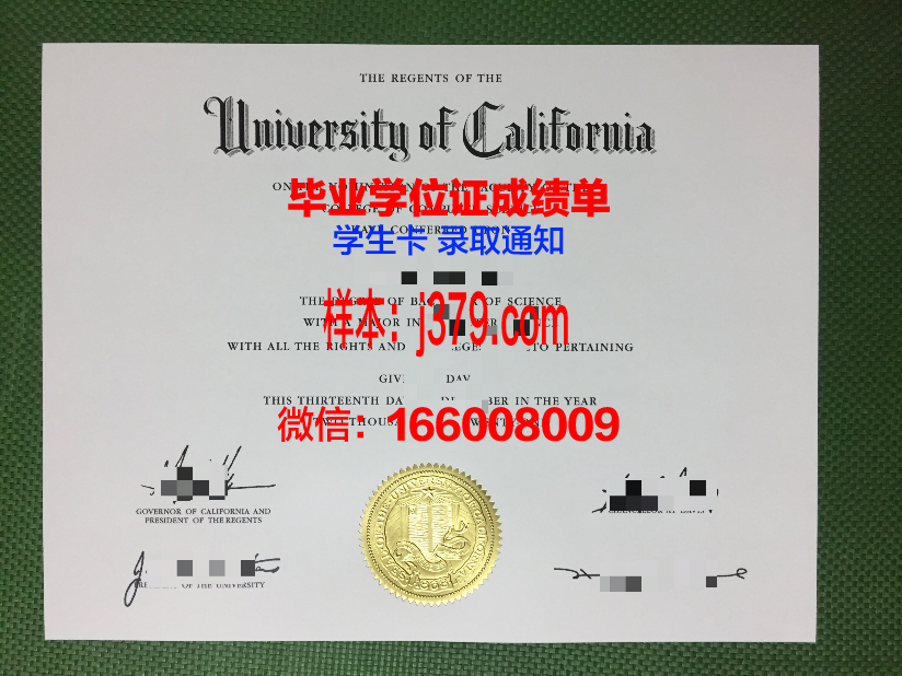 毕业证在网上哪里查询(毕业证如何网上查询)