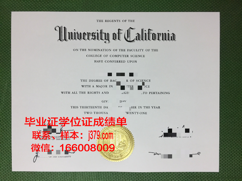 洛美大学硕士毕业证：一份跨国教育的见证
