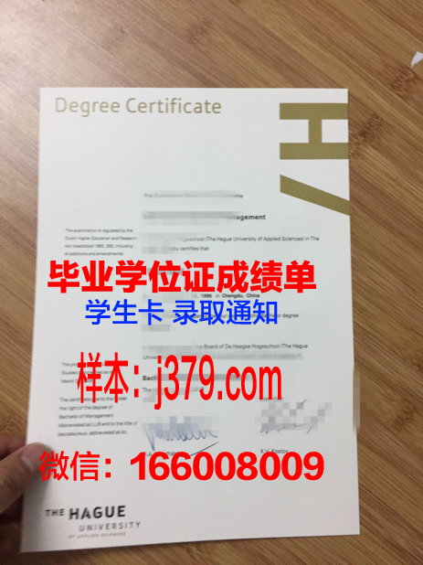 海牙大学毕业证图片Hague University Diploma