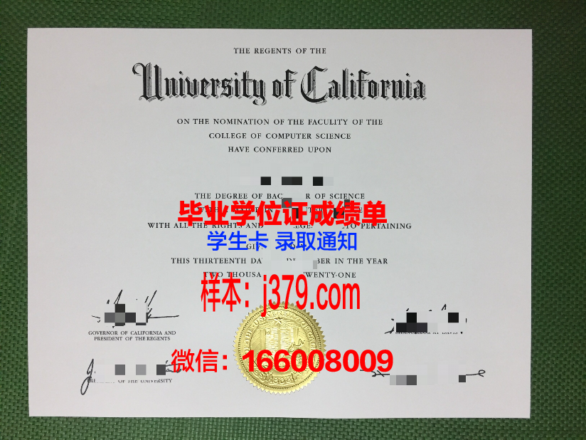 毕业证字体格式(毕业证字体用什么字号)