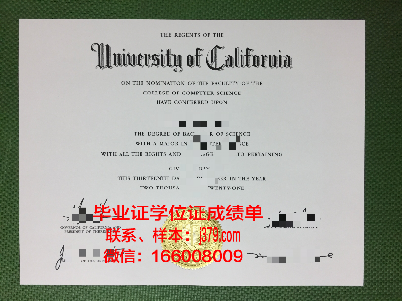 国立管理大学博士毕业证：知识与智慧的象征