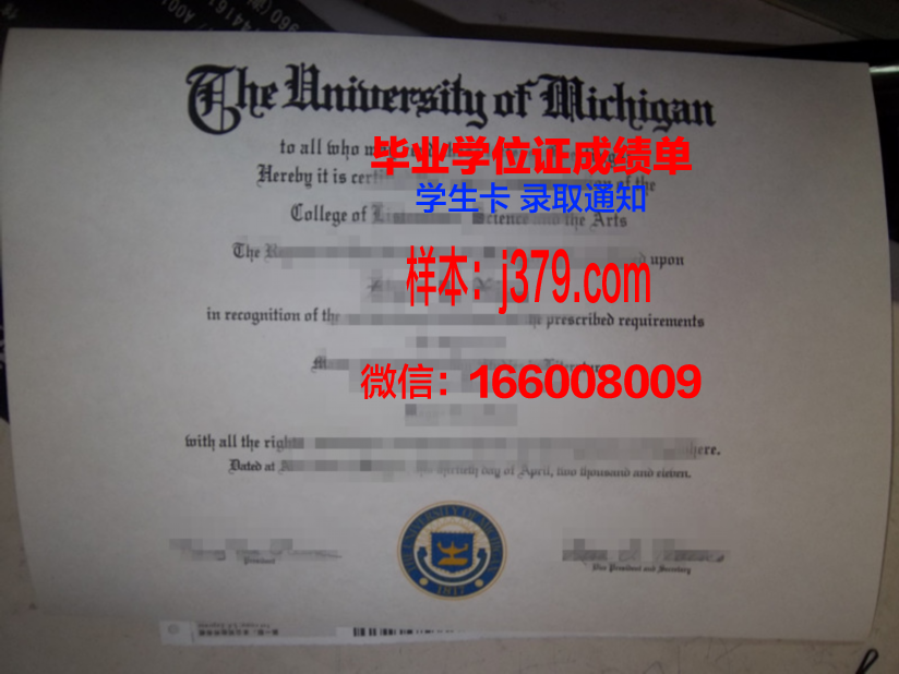 国立水与环境工程大学毕业证照片(国际水利环境工程学院)