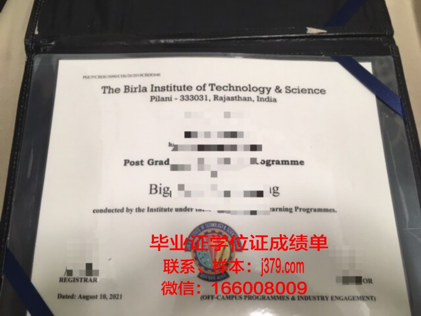比尔拉科学技术学院毕业证模板