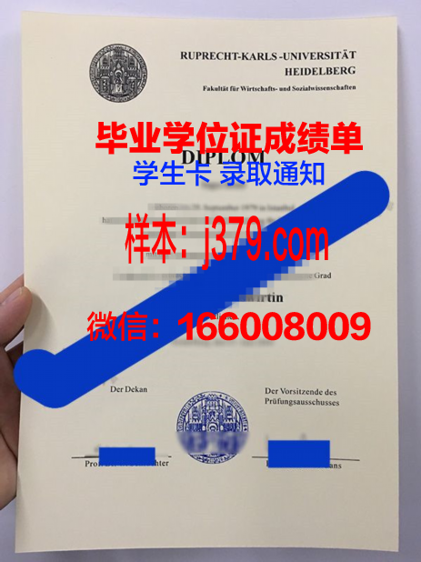 海德堡大学研究生毕业证(海德堡大学研究生申请)